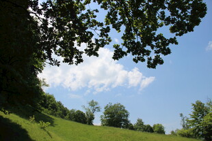 绿野蓝天间的惬意自然景