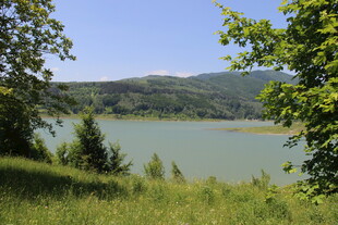 湖畔青山绿树自然风光