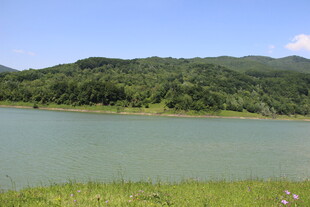 青山绿水间的宁静湖泊