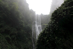 山间瀑布 隐于葱郁绿意间