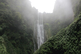 雨林中的壮观瀑布景观