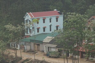 乡村中的多彩独栋房屋