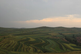 黄昏下的层叠梯田美景