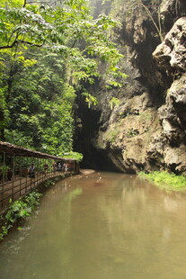 山间溪流穿林过
