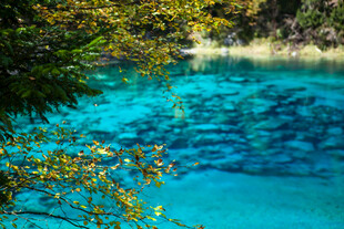 清澈蓝湖与岸边繁茂植被