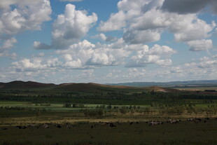 广袤草原上的蓝天白云