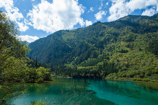 青山绿水间的幽美湖泊