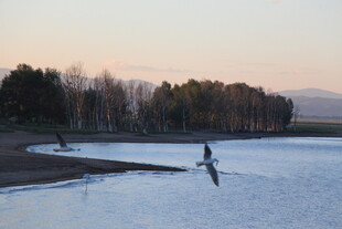 夕阳下湖畔的垂钓者