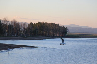 冬日湖面单人滑雪景象