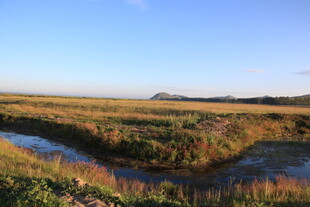 田野间蜿蜒小河风景图