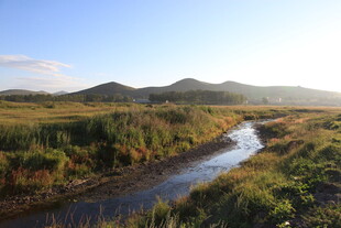 山间溪流畔的自然美景