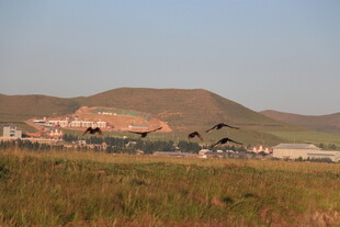 草原上的建筑与远山景色
