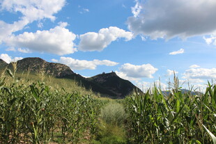 山间绿野蓝天美景