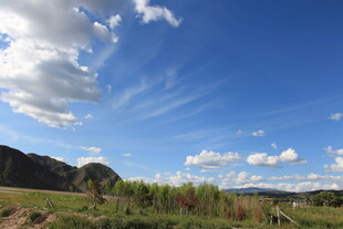 蓝天白云下的绿野风光