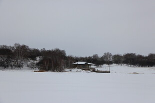冬日雪景中的静谧河岸