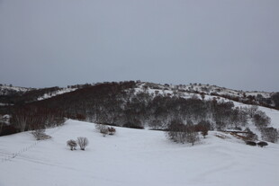冬日雪景中的山丘