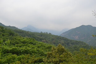 青山绿野间的秀丽山景