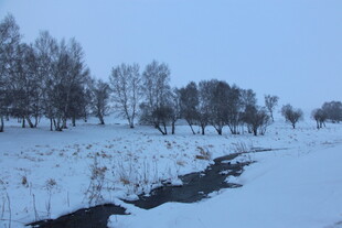 冬日雪景中的河流与树木