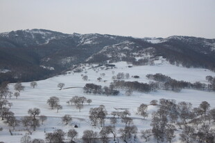 冬日雪覆山丘景观