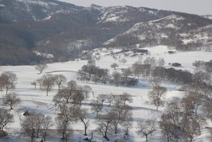 冬日雪景中的静谧山村
