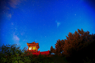 夜空下的建筑与繁茂树木