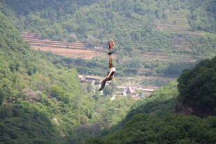 山间孤枝悬于秀丽风景中