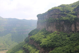 峻峭青山覆绿植