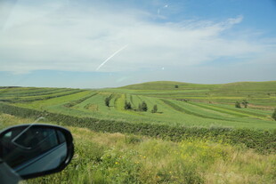 车窗外的绿野风光