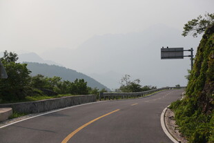 蜿蜒公路旁绿意盎然