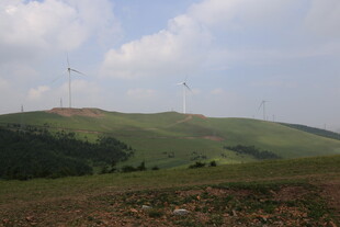 草原上的风力发电机组