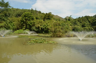 乡村池塘喷水景观