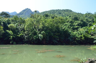 青山绿水间的秀丽河景