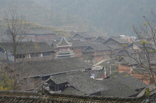 雾中古朴村落景观