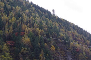 秋日山林斑斓景致