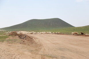 荒野土路旁的葱郁山丘