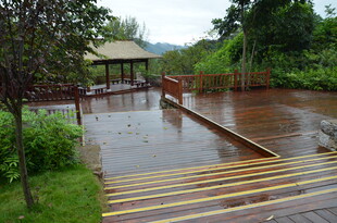 雨后积水的户外木质步道