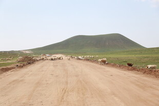 乡村土路旁的青山与羊群