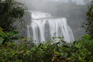 山间瀑布隐于葱郁植被间