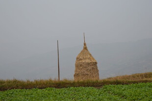 田野中的锥形干草垛