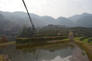 山间水田 朦胧雾色美景