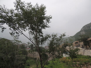 山间绿树环绕的古朴村落