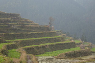 山间梯田景色