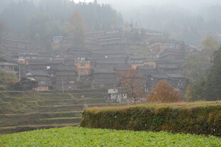 雾中梯田村落景观