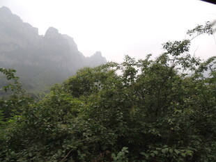 山林间的朦胧山峦景色