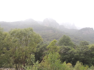 雾中葱郁山林景色