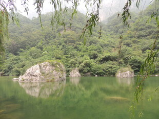 山林间静谧的绿水石景