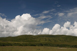 草原上空的壮丽积云