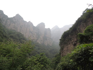 山间绿意盎然的壮丽峡谷