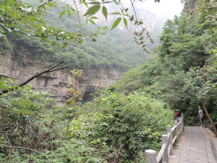 山间幽径 绿意盎然的景致