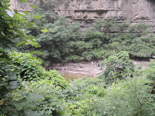 山间繁茂植被与隐秘河谷